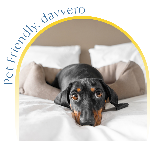 pet friendly, davvero