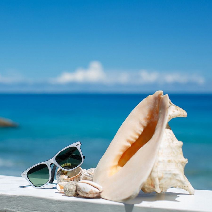 Settimana Speciale di Inizio Agosto