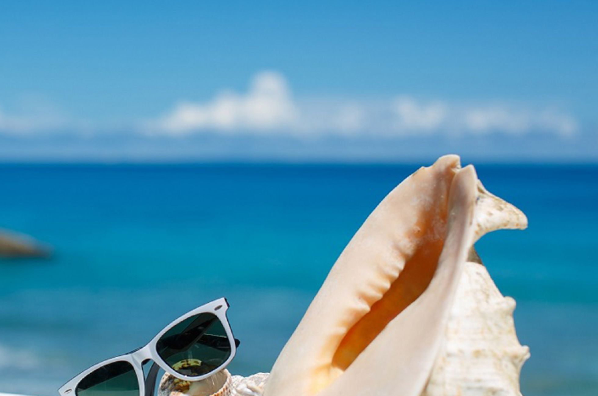 Settimana Speciale di Inizio Agosto